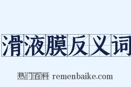 滑液膜反义词是什么意思的图片